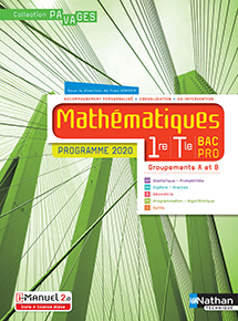 Math&eacute;matiques - Groupements A et B - Bac Pro [1re/Tle] - Collection Pavages - Ed. 2020